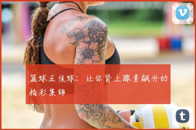 篮球五佳球：让你肾上腺素飙升的精彩集锦