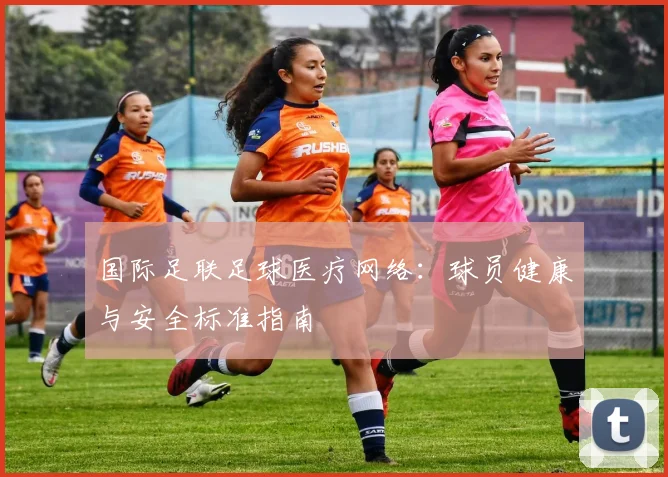 国际足联足球医疗网络：球员健康与安全标准指南