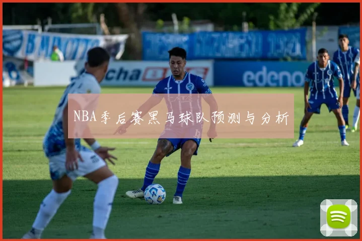 NBA季后赛黑马球队预测与分析